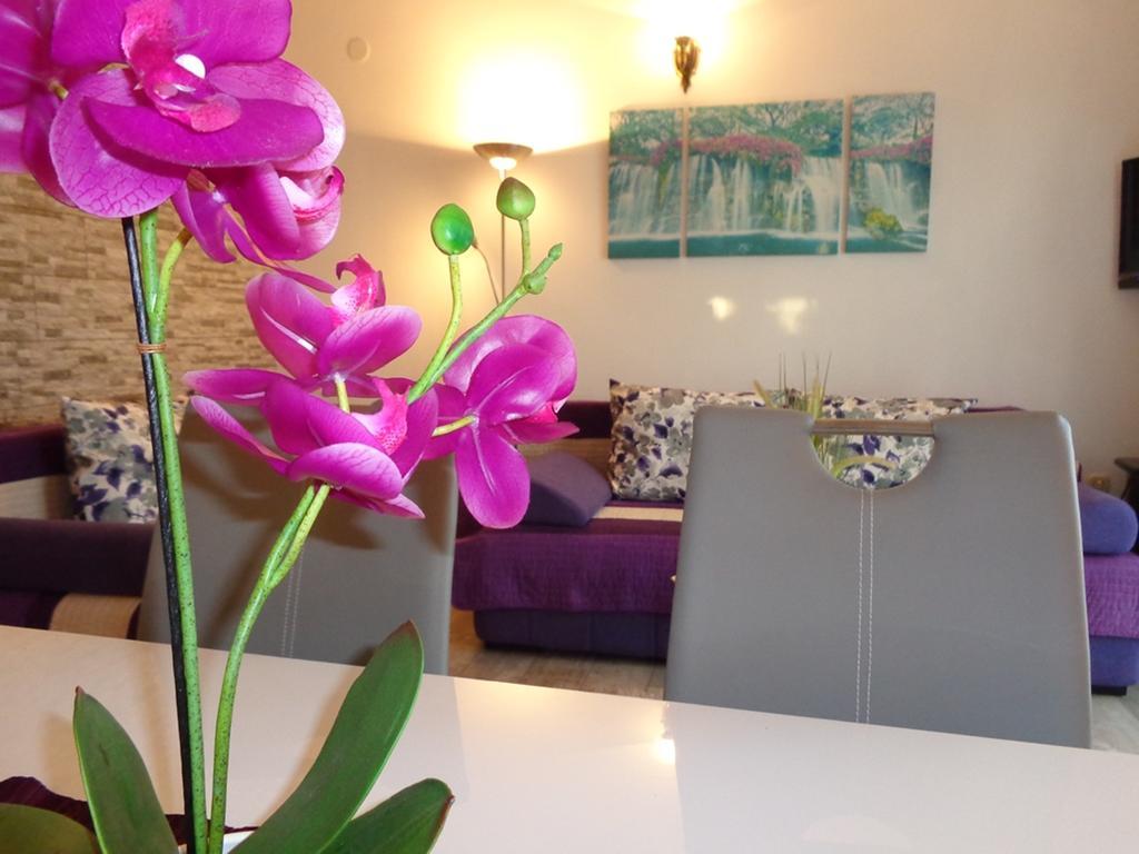 I & S Apartments 沃迪切 外观 照片